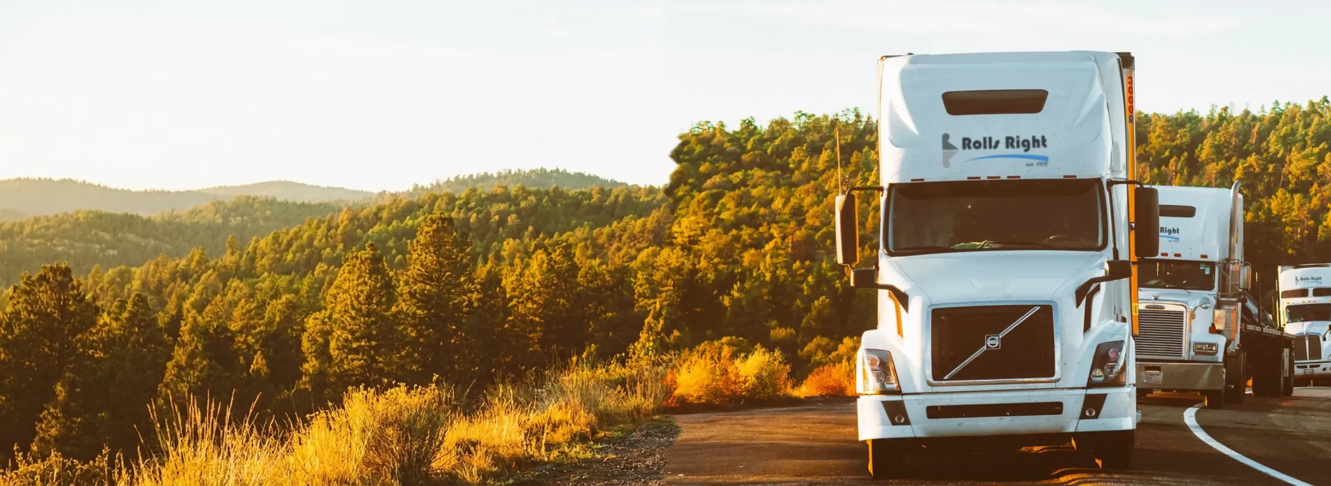 Three Rolls Right tractor-trailers on a forest highway at sunrise